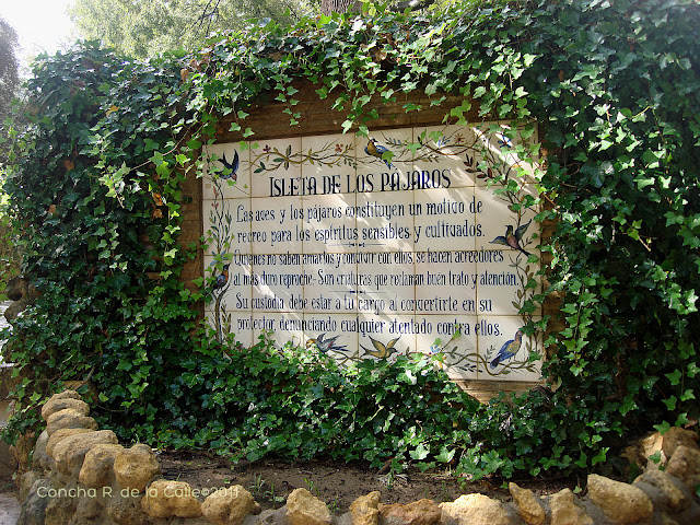 Parque de María Luisa - Nvbre 2011- Isleta pajáros (28).JPG