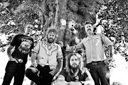 Mastodon