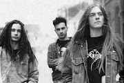 Carcass