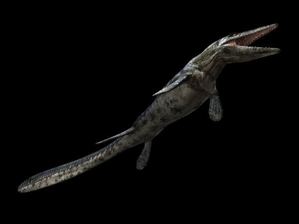 [tylosaurus%255B2%255D.jpg]