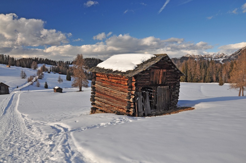 DSC_8162.JPG DSC 8162