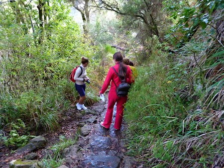 Revelion 2014:  pe munte in Madeira