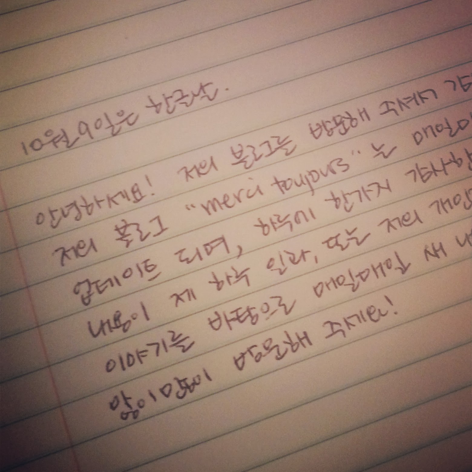 merci means thank you in what language merci means thank you in what language