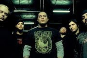 Chimaira