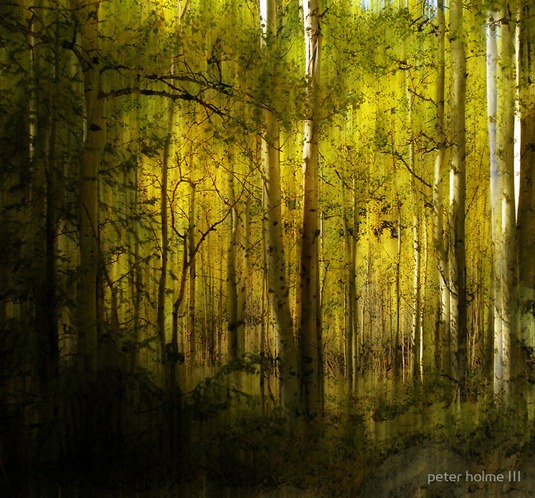 [clip_image015%255B6%255D.jpg]