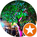 Image Google de Music Access