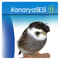 Kanaryasesi logo