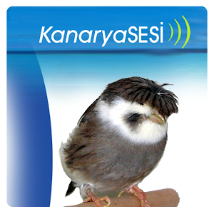 Kanaryasesi.apk 1.01