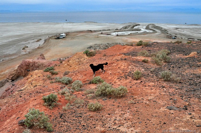 [DSC_0010%255B5%255D.jpg]