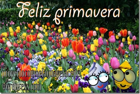 feliz primavera buscoimagenes (33)