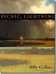 picnic-lightning