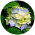 Veronica Grosu Veronica Grosu
