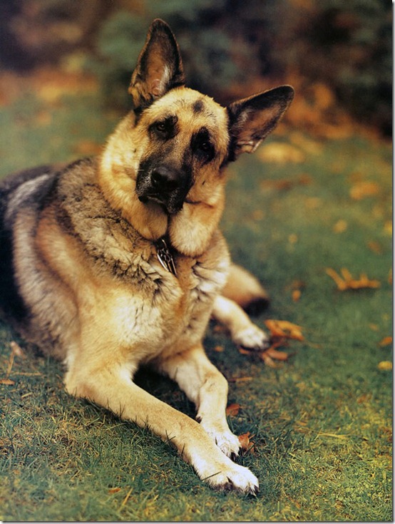 Vogue_IT_March2000_Weber3