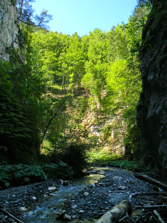 [DSCN50364.jpg]