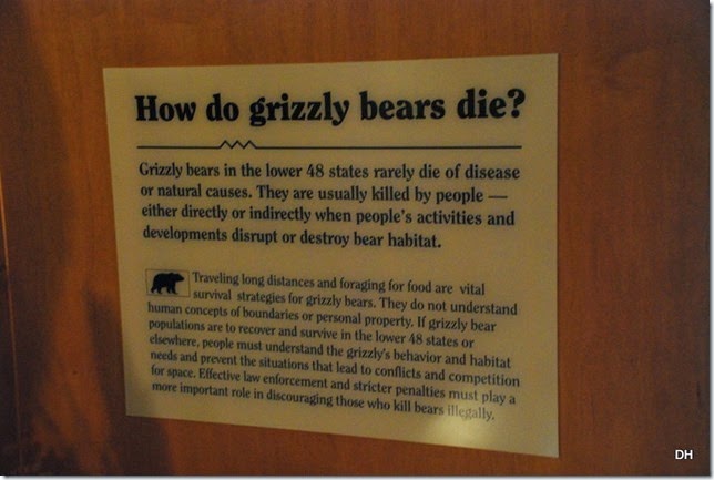 08-07-14 A Grizzly and Wolf Discovery Center (11)