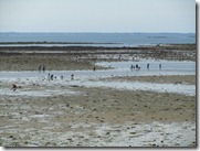 IMG_5177 IMG_5177