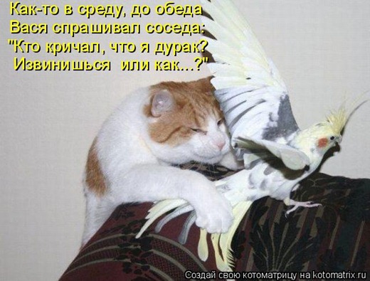 [clip_image024%255B3%255D.jpg]