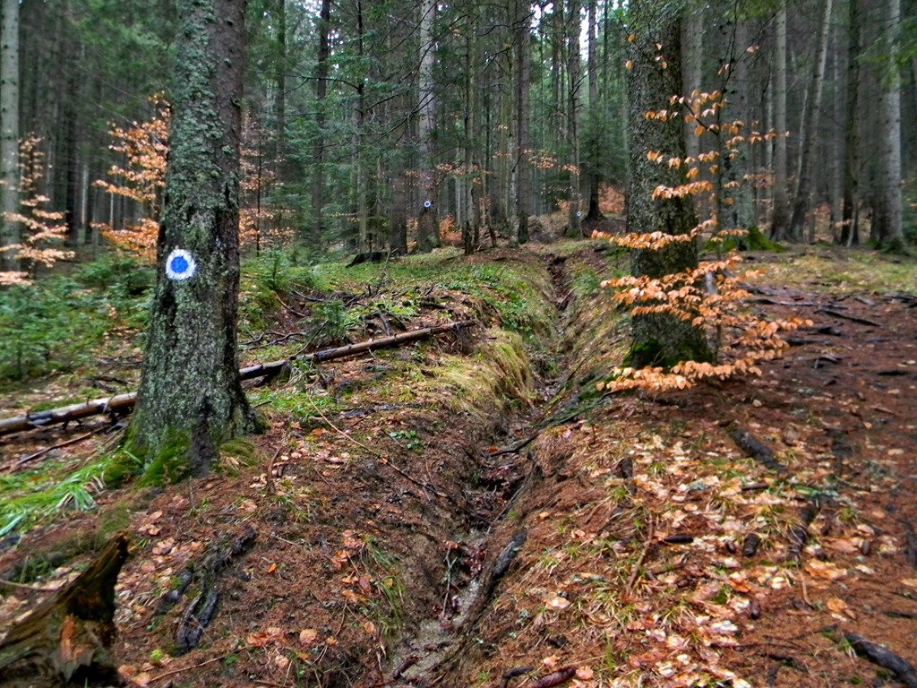[DSCN71133.jpg]