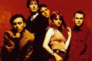 Pulp