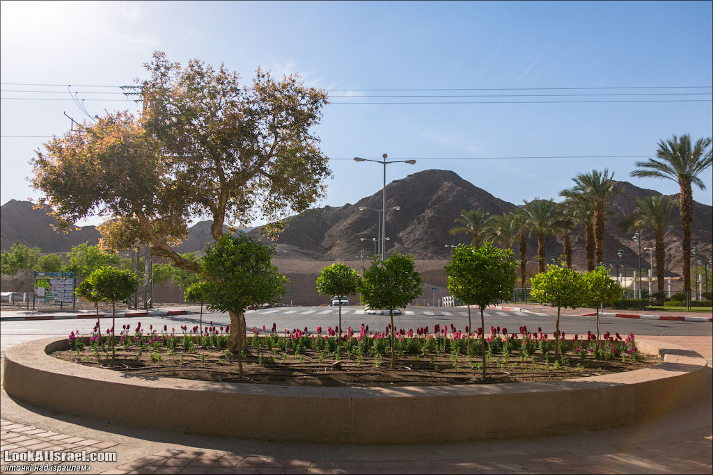 Проект блога LookAtIsrael.com о городах Израиля. Эйлат