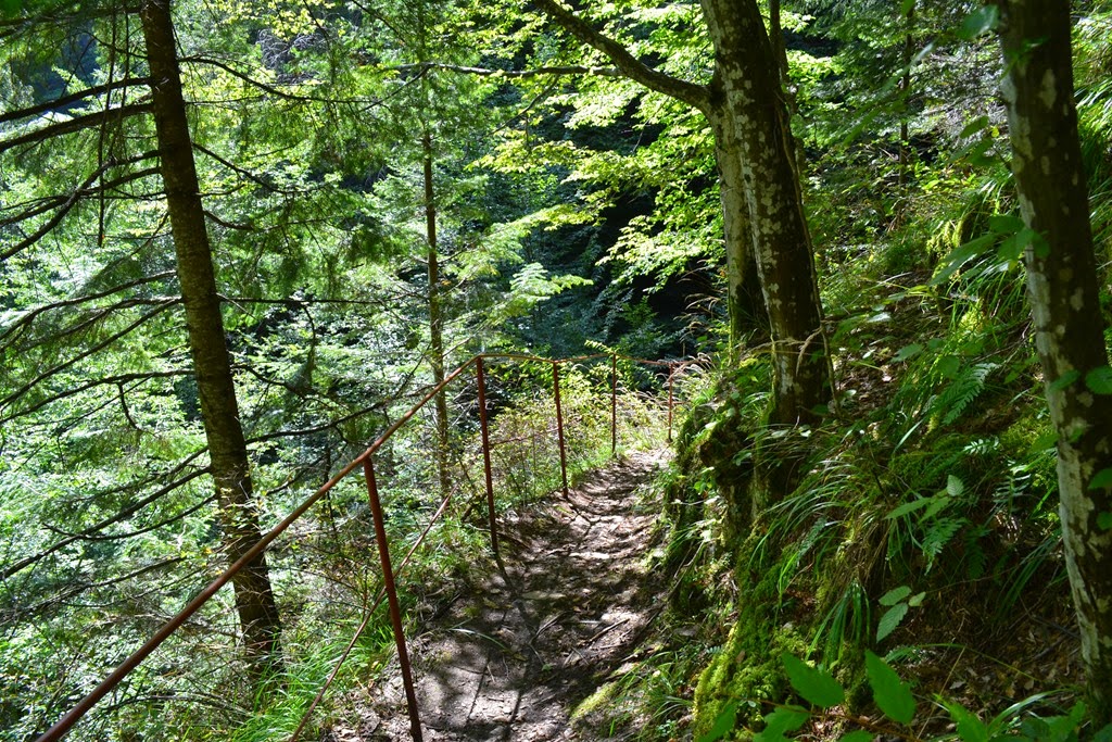 [DSC_77353.jpg]