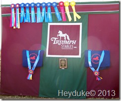 Ribbons at Horse Event