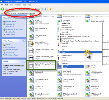 capturetexttemplates_windows_path capturetexttemplates_windows_path