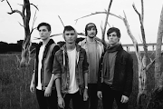 Polyphia