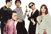 Pulp