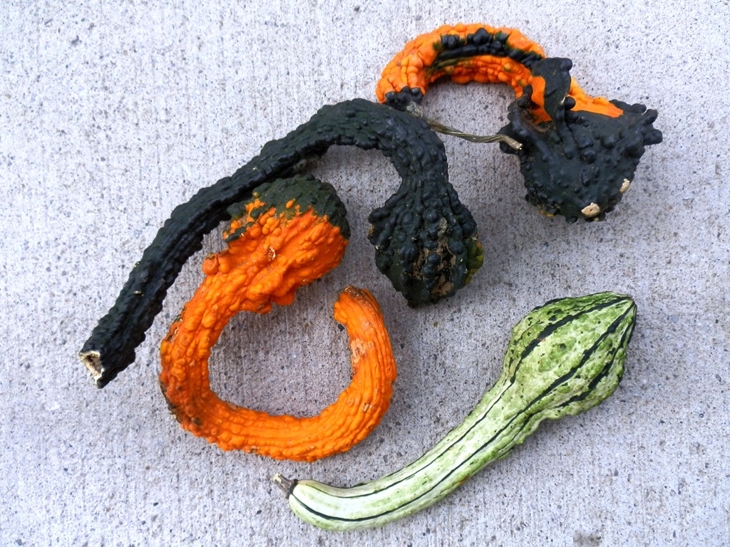 [PA210352%255B3%255D.jpg]