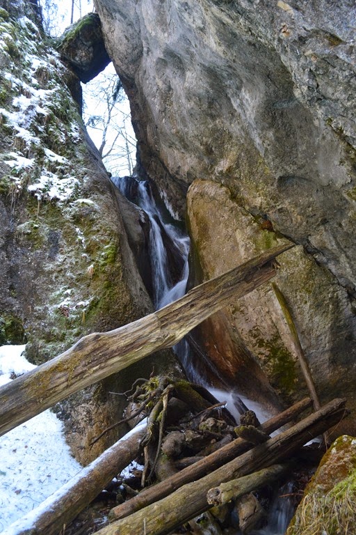 [DSC_7974%255B5%255D.jpg]