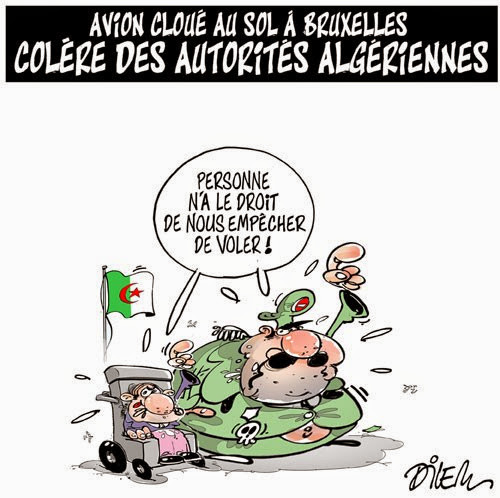 lr-6794-bc511 (1).jpg