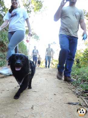 Dog´s Trekking 5 (84)