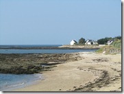 IMG_5231 IMG_5231