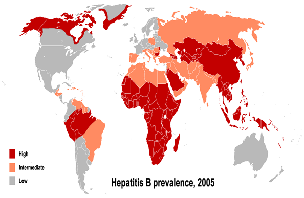 HBV_prevalence_2005