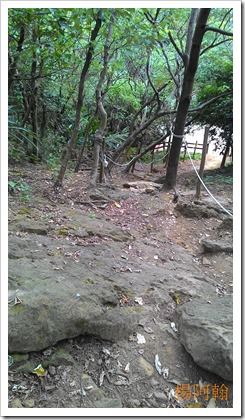1106 081 - 鶯歌石登山步道