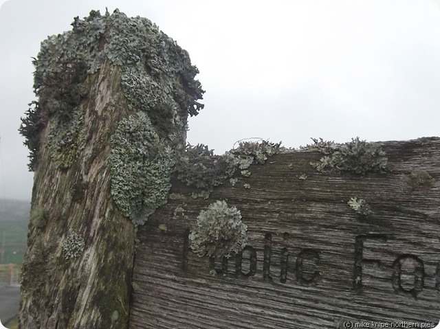 footpath sign with lichen