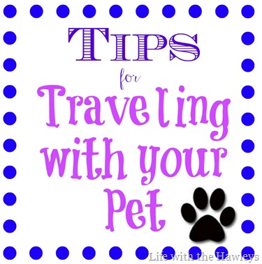 Traveling with your Pet