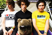 Wombats