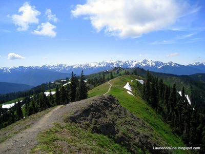 Our ridgetop trail