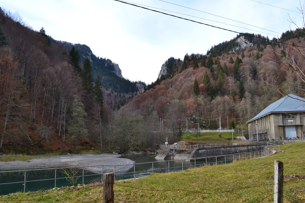 [DSC_04223.jpg]