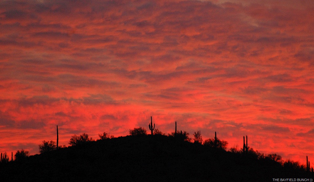 [DSC_5627%255B10%255D.jpg]