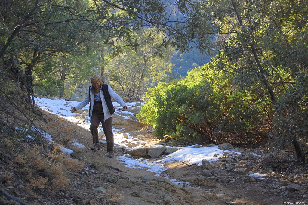 [DSC_1593%255B3%255D.jpg]