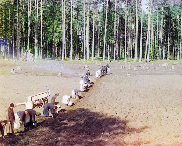 [Monks-at-Work-19105.jpg]