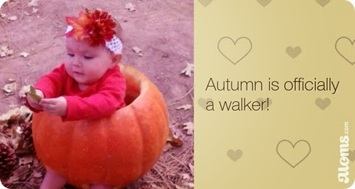 autumn-is-officially-a-walker