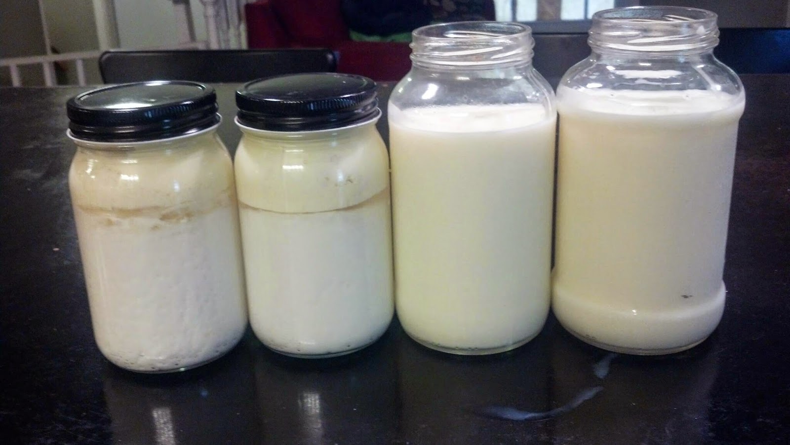 sojourning homemaker Homemade raw milk kefir
