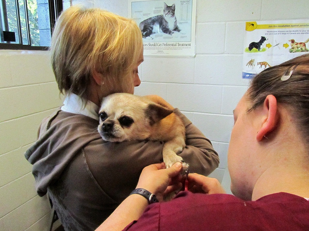 [IMG_0747%255B4%255D.jpg]