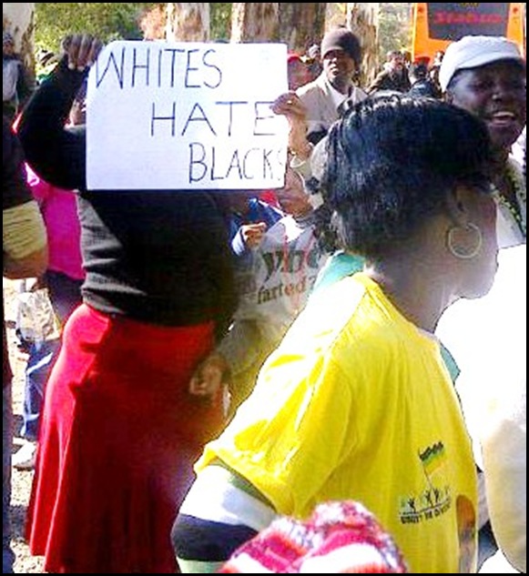 ANC HATE SPEECH WHITES HATE BLACKS ZUMA PENIS GOODMAN GALLERY MARCH MAY 28 2012