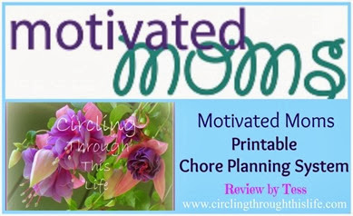 Motivated Moms Chore Planner Review Collage