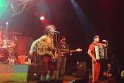 Gogol Bordello